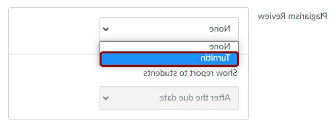 screenshot of the plagiarism review dropdown menu